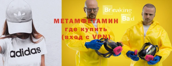 прущие грибы Гусев