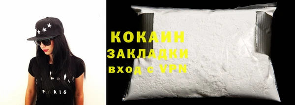 прущие грибы Гусев