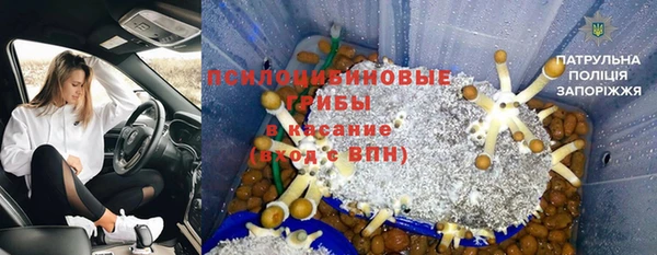 сатива Гусь-Хрустальный