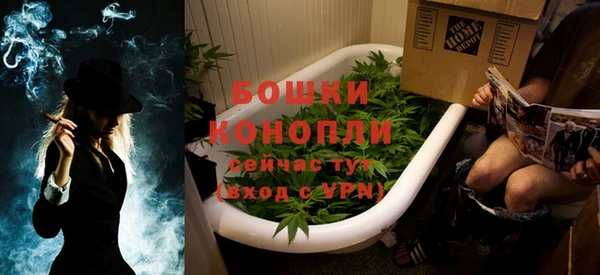 прущие грибы Гусев