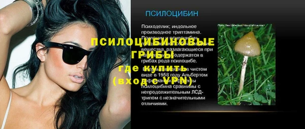 ПСИЛОЦИБИНОВЫЕ ГРИБЫ Туринск