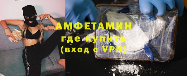 прущие грибы Гусев
