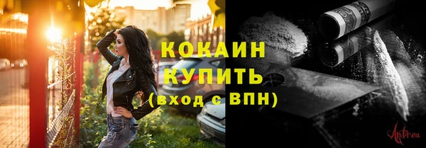 прущие грибы Гусев
