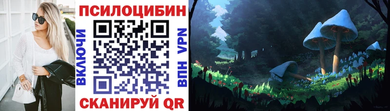 Псилоцибиновые грибы Cubensis  наркота  Мценск 