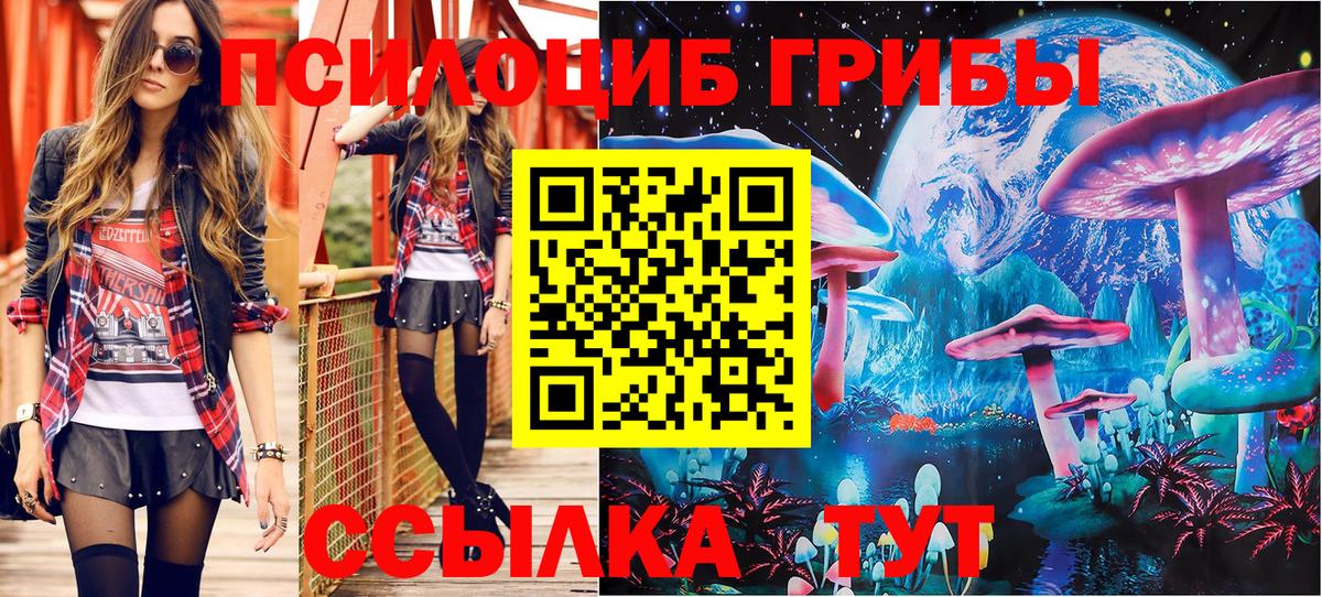 Мценск  купить закладку  Галлюциногенные грибы Magic Shrooms  Вход с VPN  Галлюциногенные грибы Magic Shrooms 