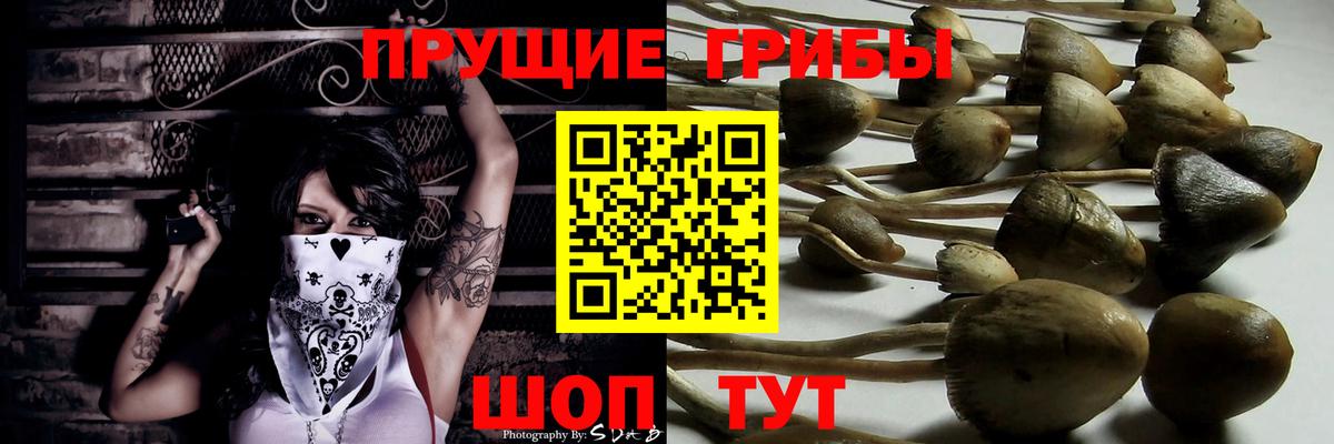 Галлюциногенные грибы мицелий Мценск