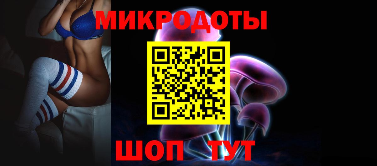 Псилоцибиновые грибы Psilocybine cubensis Мценск