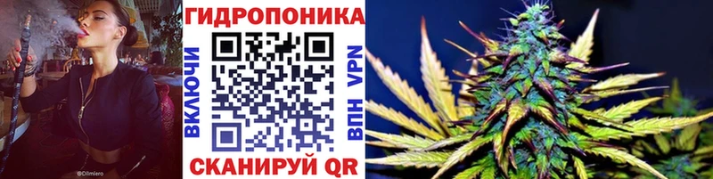 где можно купить   Мценск  Конопля Amnesia 